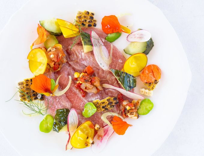 A composed crudo plated at FRANK